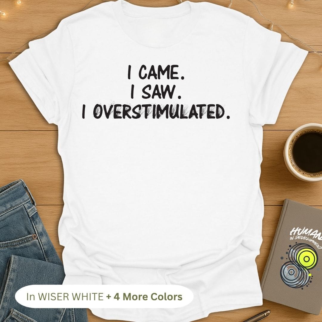 I CAME. I SAW. I OVERSTIMULATED. 😵💫 T-Shirt