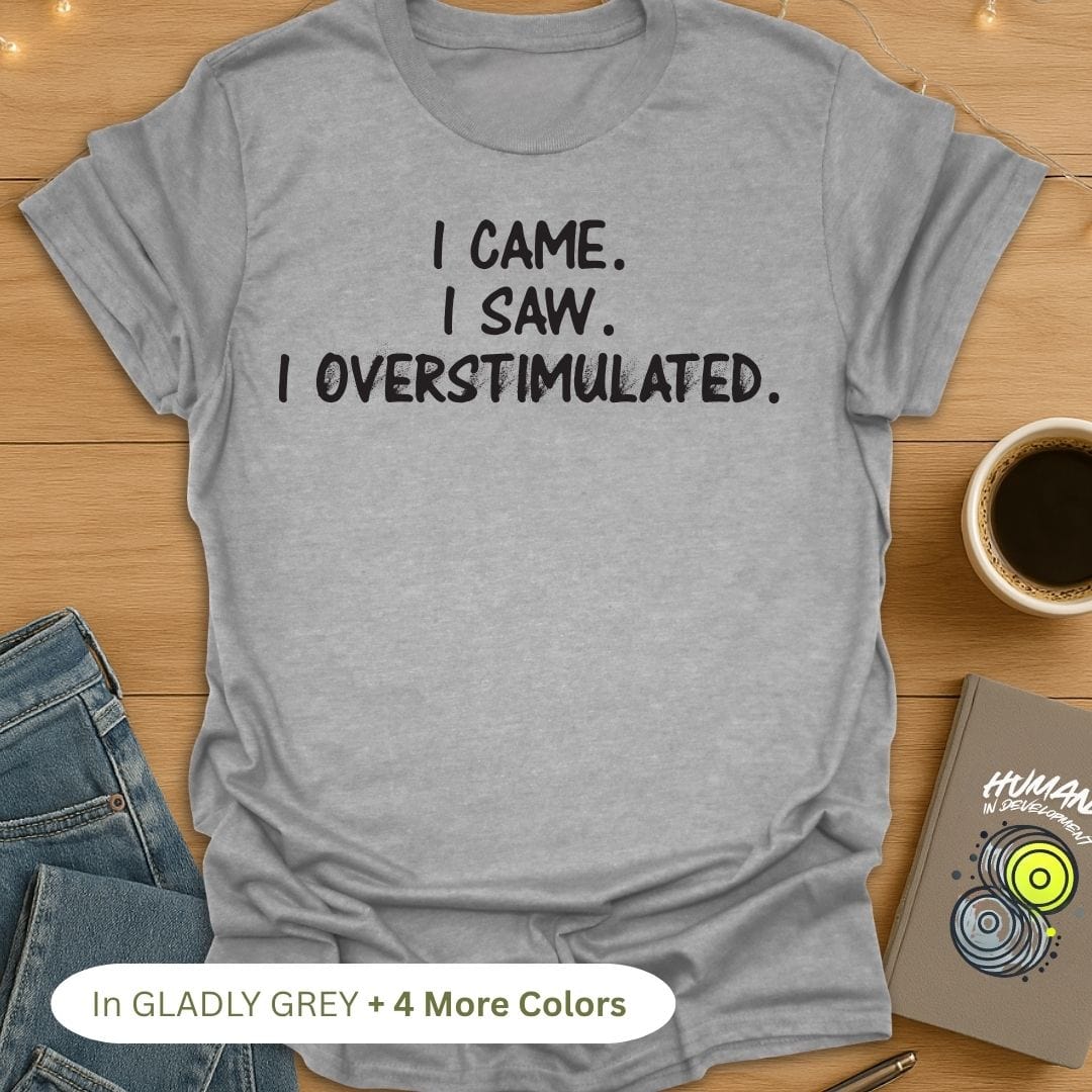 I CAME. I SAW. I OVERSTIMULATED. 😵💫 T-Shirt