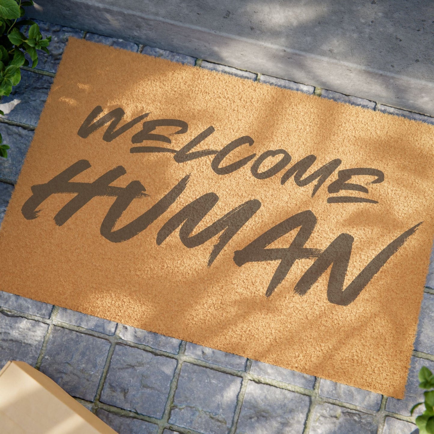 Welcome Human 'IAAHID' Door Mat (Grey)